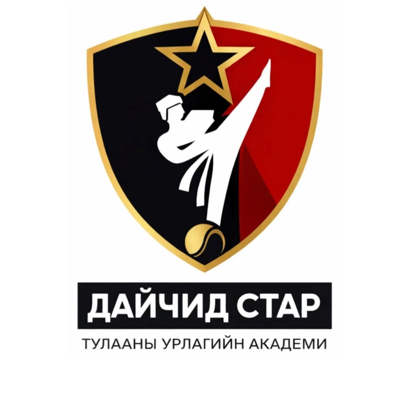 Дайчид СТАР тулааны урлагийн Академи