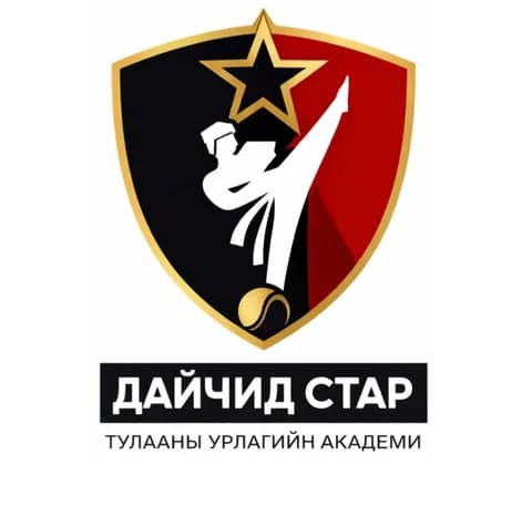 Дайчид СТАР тулааны урлагийн Академи logo
