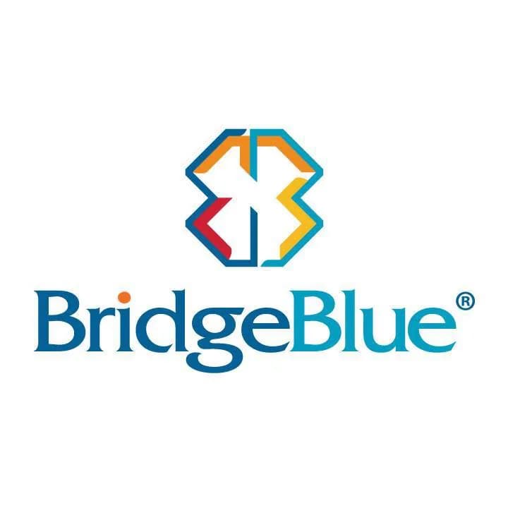 BridgeBlue Mongolia