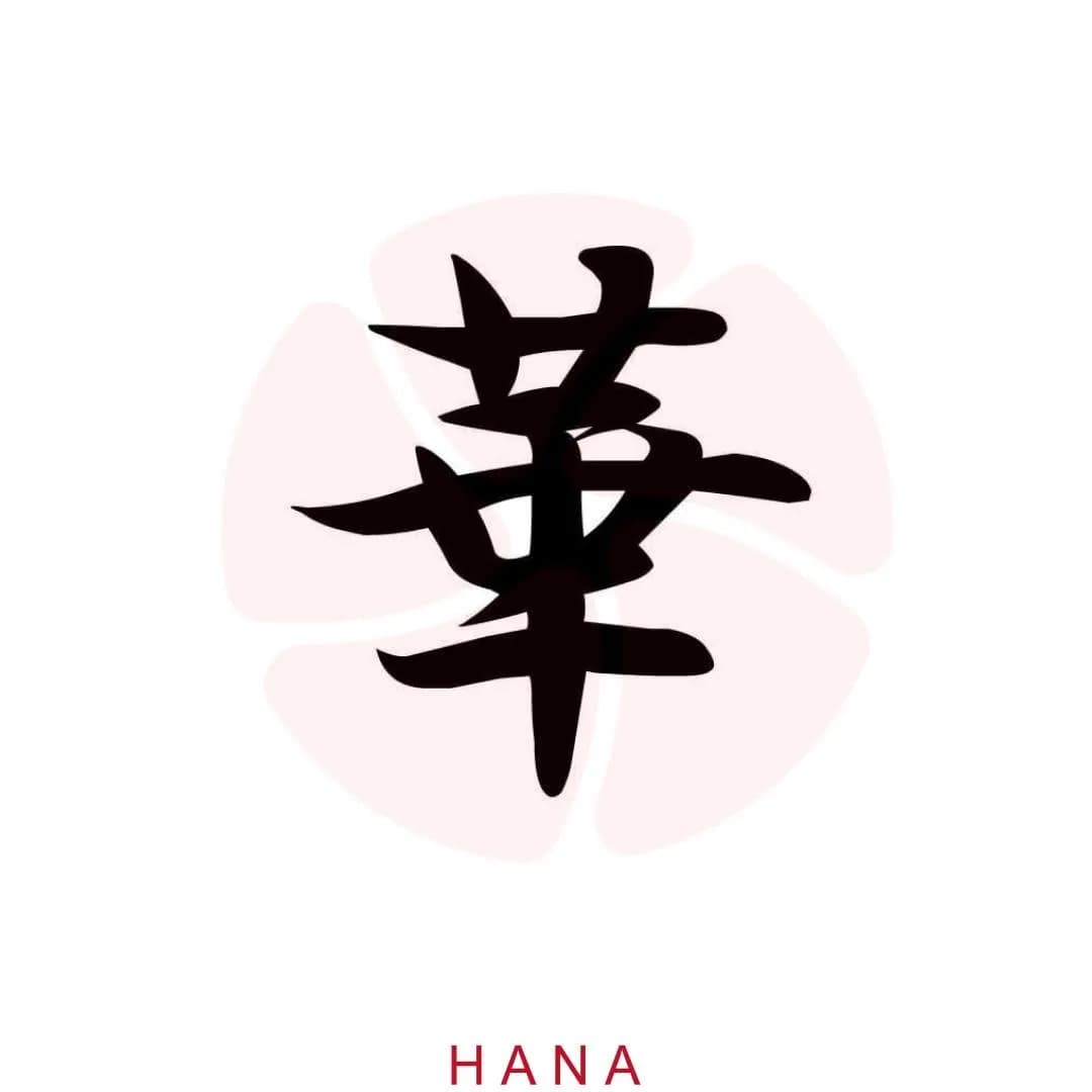 Hana Japanese Restaurant