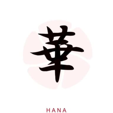 Hana Japanese Restaurant logo
