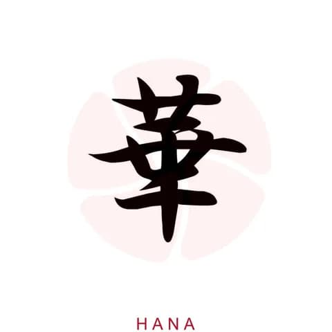 Hana Japanese Restaurant logo