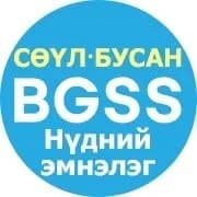 Seoul|Busan BGSS нүдний эмнэлэг logo